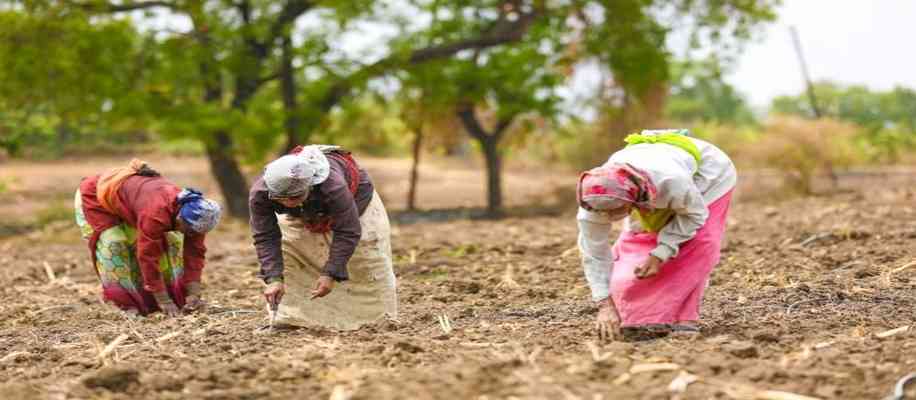 US-India agriculture trade agreement