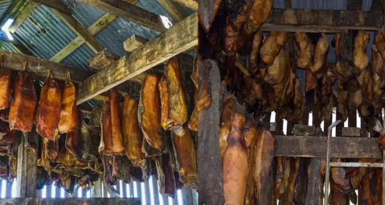 Shark Meat in India