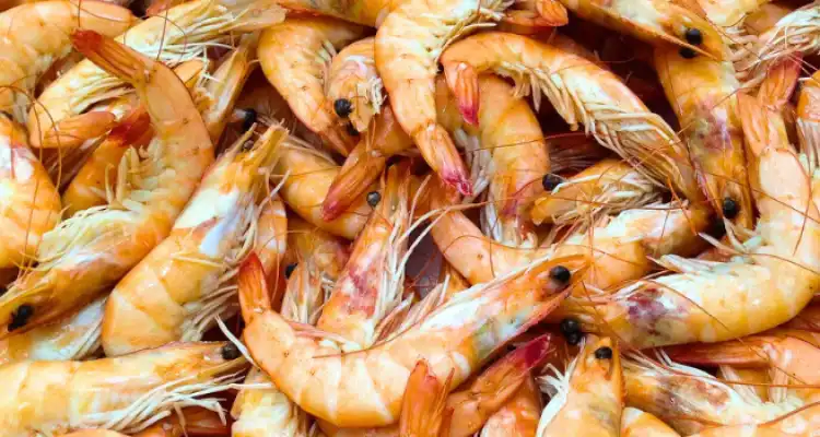 Why is prawn farming beneficial for farmers