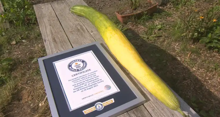 Biggest cucumber ever grown