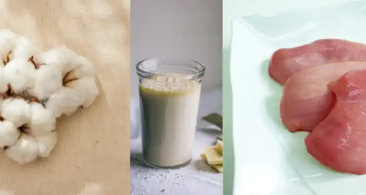 How to Start a Dairy Business
