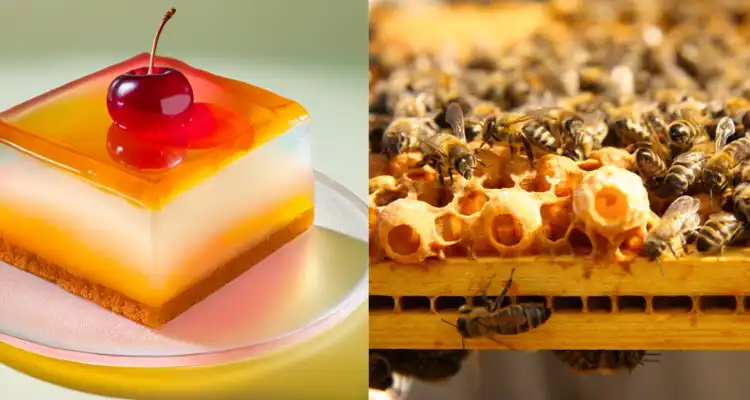 Benefits of Royal Jelly