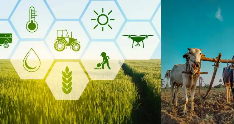 Agricultural Development in Punjab
