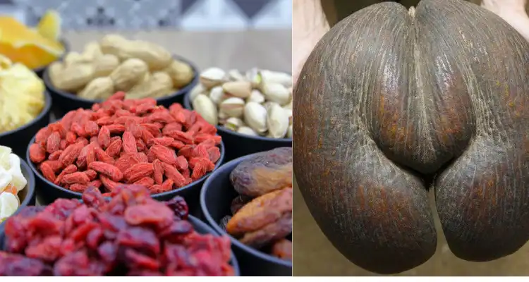The Largest Dried Fruit