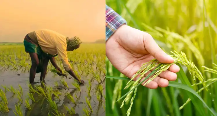 Agricultural technology startu