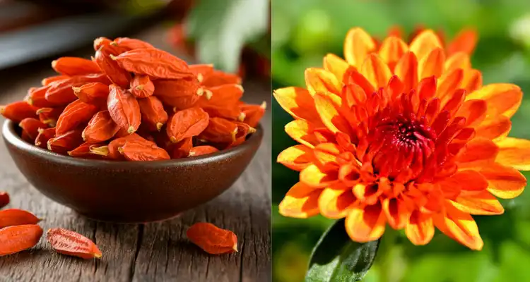 Traditional Medicinal Plants of China