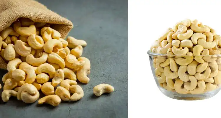 Profits from Cashew Farming