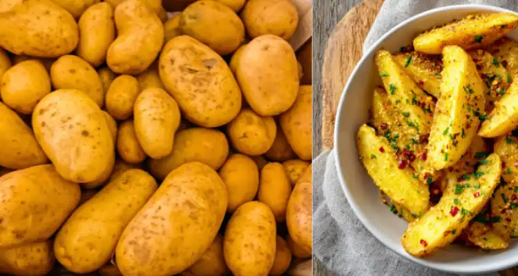 potato farming in India,