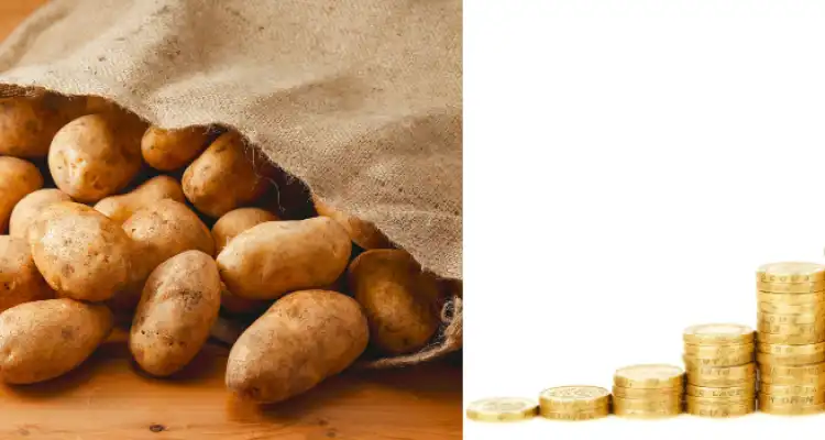 potato processing unit