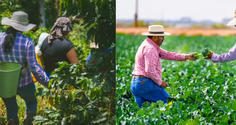 Indian farmer support system
