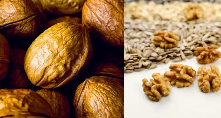 Walnut farming