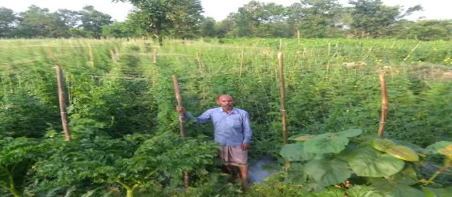 50 रुपए की दिहाड़ी करने वाले ने आज खेती कर कमाए साल में 50 लाख_3473