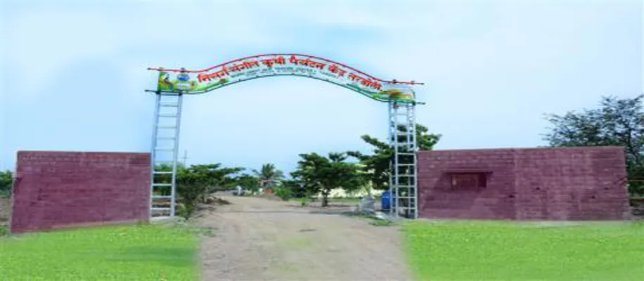 बंजर जमीन से कैसे कमा रही एक महिला लाखो रुपये। _3301