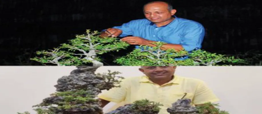 यह पेड़ ऑक्सीजन प्लांट की तरह काम करता है_7646