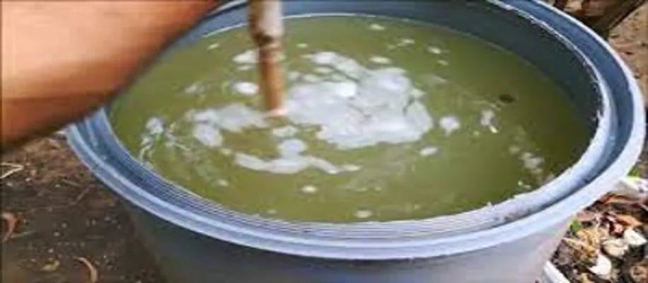 बीस रूपये की शीशी से किसानों का लाखों का फायदा_2895