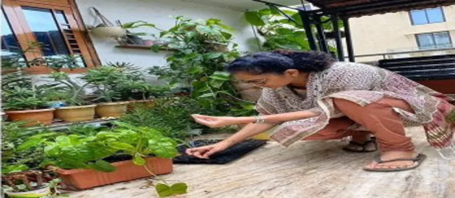 ठंड की सब्जियां उगाए अगस्त के महीने में_2042