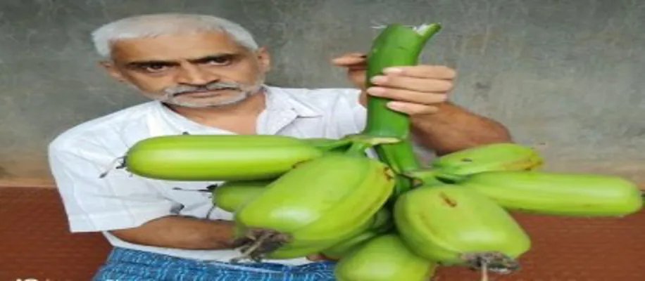 इस किसान ने तैयार किया नीले केले, नारंगी कटहल के साथ 1300 अद्भुत फलों का फ़ूड फॉरेस्ट_8200
