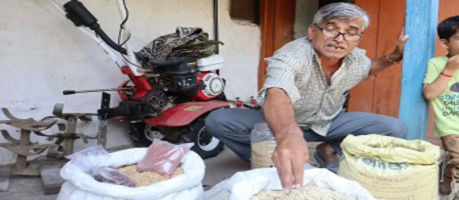 इस किसान ने बाटा दस हज़ार किसानों को मुफ्त में बीज_3330
