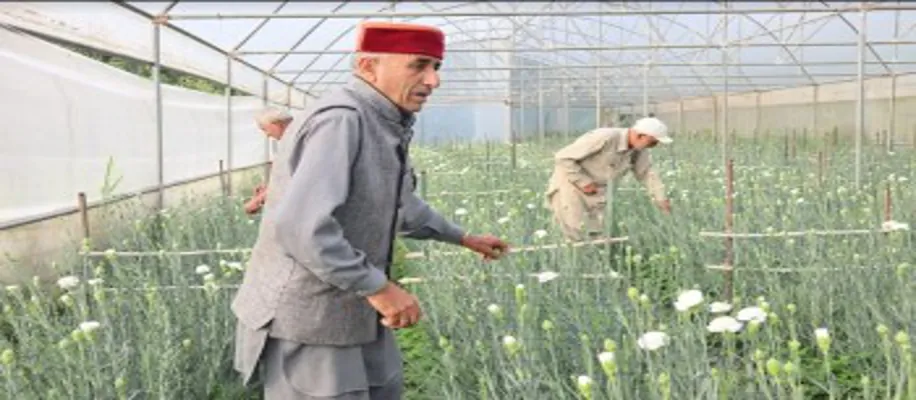 यह किसान फूलों से कर रहा हैं 40 करोड़ का कारोबार_2057