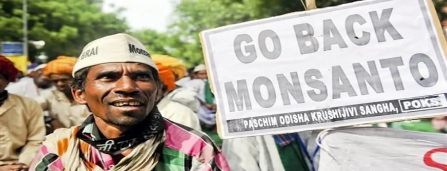 कपास बीज कंपनियों की धमकी, किसानों की आपूर्ति रोक देंगे