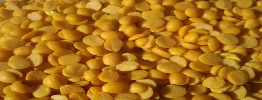 अरहर किसानों को 1,125 करोड़ का घाटा
