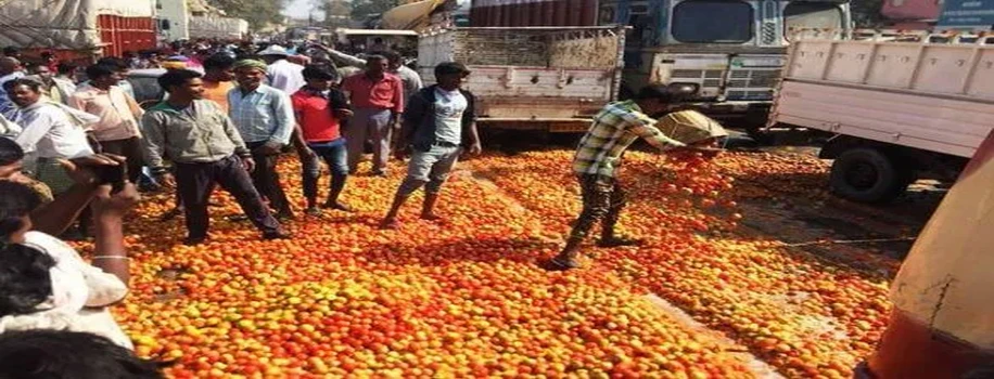 प्याज़ के बाद टमाटर का भी बुरा हाल, सड़क पर फेकने को मजबूर किसान
