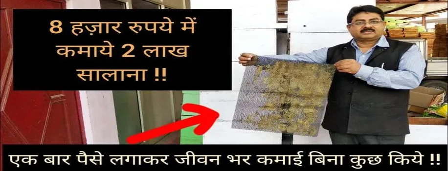8 हज़ार रुपये में मधुमक्खी पालक इस चीज़ से कमा सकते हैं 2 लाख रुपए सालाना जाने कैसे ??