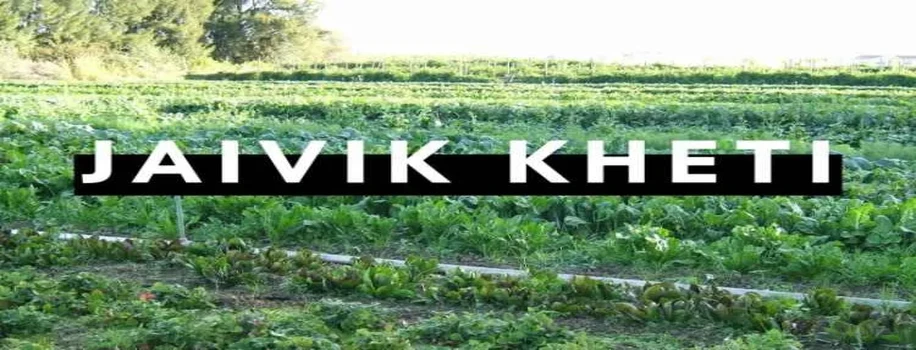 जानिए कैसे होती है,  किसान के फसल बोने से पहले ही फसल की खरीद