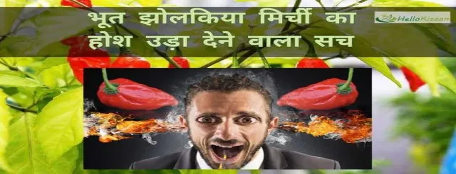 1 मिर्च करेगी अब महिलाओ की सुरक्षा 