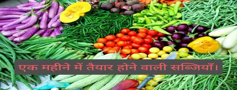 एक महीने में तैयार होने वाली सब्जियाँ