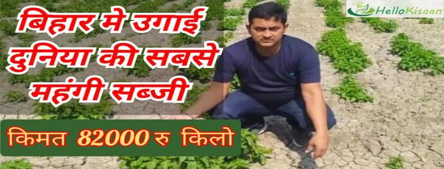 बिहार में उगायी दुनिया की सबसे मंहगी सब्जी,कीमत 82000 रु किलो