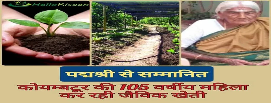 कोयम्बटूर की 105 वर्षीय महिला जैविक खेती के लिए पद्मश्री से सम्मानित