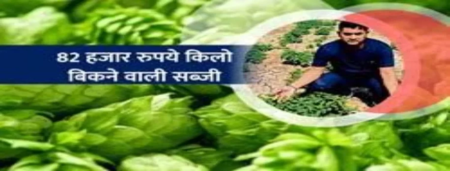 युवा किसान अमरेश ऊगा रहे 82 हजार रुपये किलो बिकने वाली सब्जी