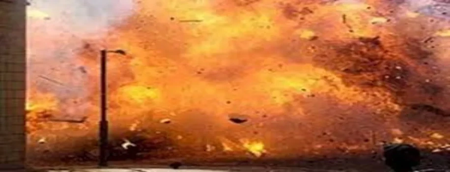 पटाखे की फैक्टरी में लगी आग, तमिलनाडु में हुआ हादसा