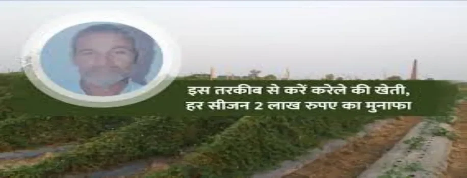 रमेश कुमार की तरह करेले की खेती कर कमाऐं लाखों