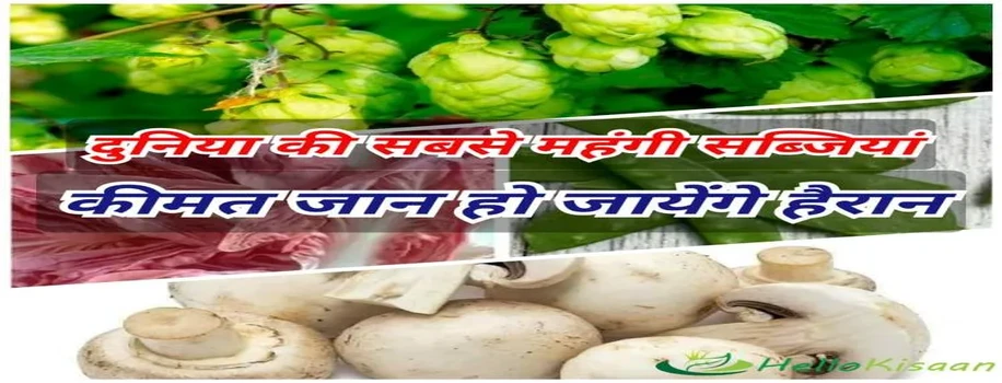 ये हैं दुनिया की सात सबसे महंगी सब्जी 