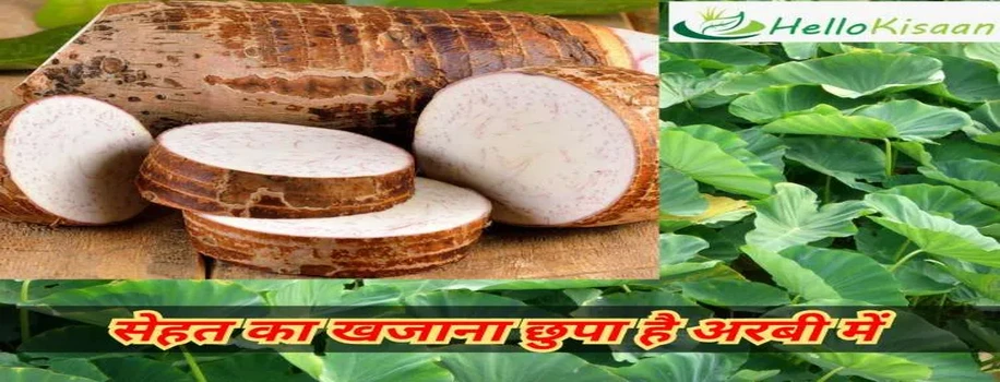 स्वाद के साथ आपके स्वास्थ्य के लिए भी फायदेमंद अरबी 