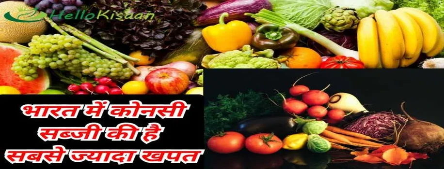 भारत में सबसे ज्यादा खपत होने वाली सब्जी