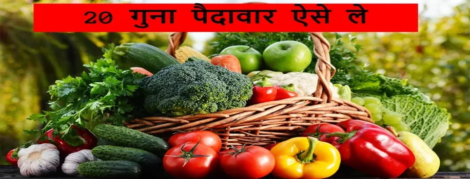 20 गुना पैदावार ऐसे ले