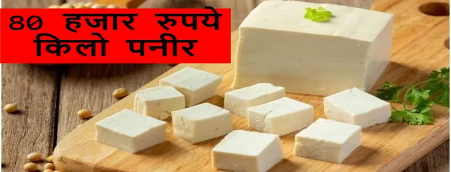 अस्सी हजार रुपये किलो पनीर