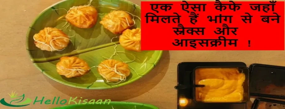 एक ऐसा कैफे जहाँ मिलते हैं भाऺग से बने स्नैक्स और आइसक्रीम !