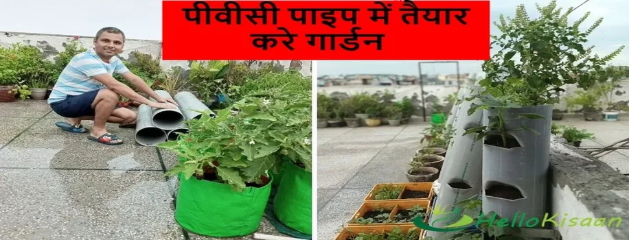 पीवीसी पाइप में तैयार करे गार्डन
