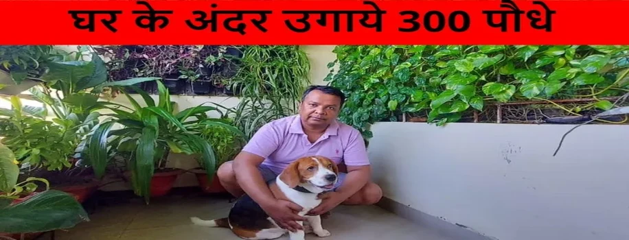 घर के अंदर उगाये 300 पौधे