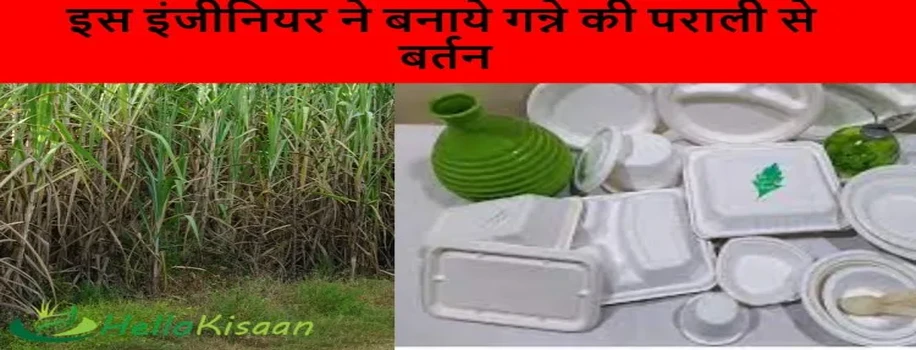 इस इंजीनियर ने बनाये गन्ने की पराली से बर्तन