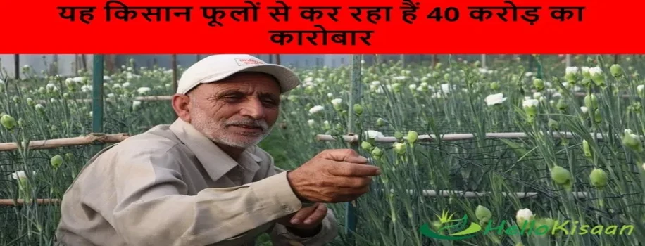 यह किसान फूलों से कर रहा हैं 40 करोड़ का कारोबार