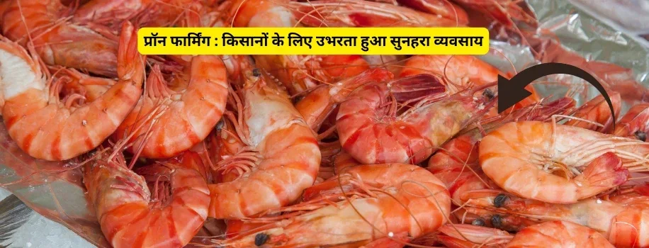 ट्रैक्टर पर सिर्फ 5