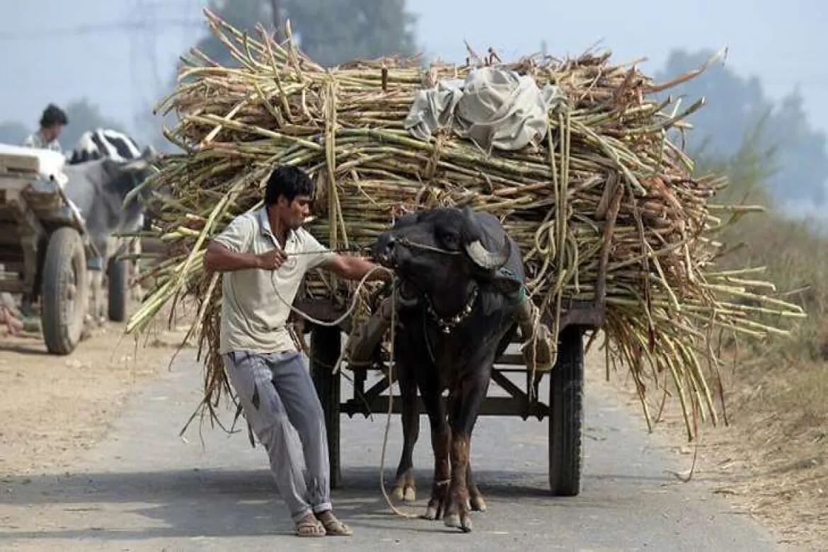  महाराष्ट्र में, बकाया राशि 2,058 करोड़ रुपये और उत्तर प्रदेश में 4,673 करोड़ रुपये 