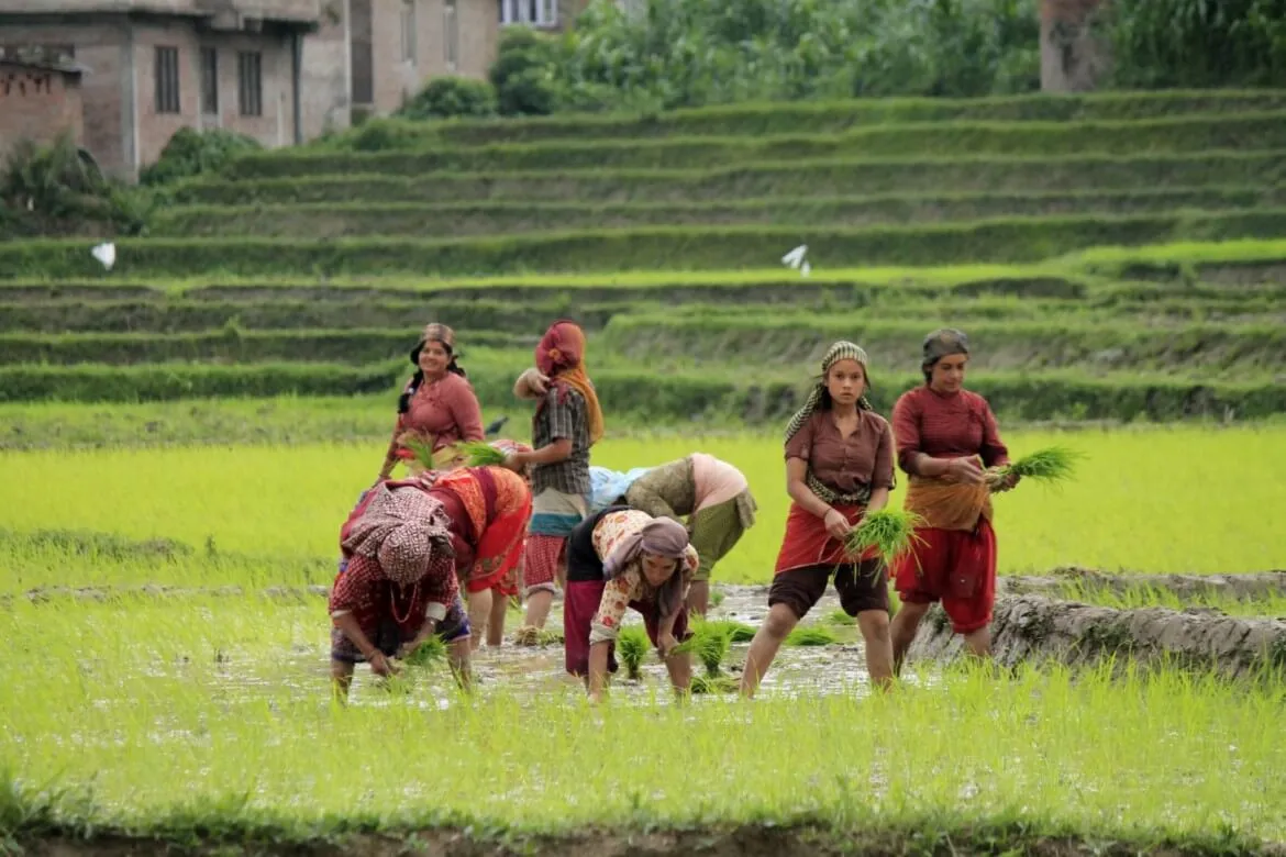  इस साल किसान झेल सकता हे मानसून की मार