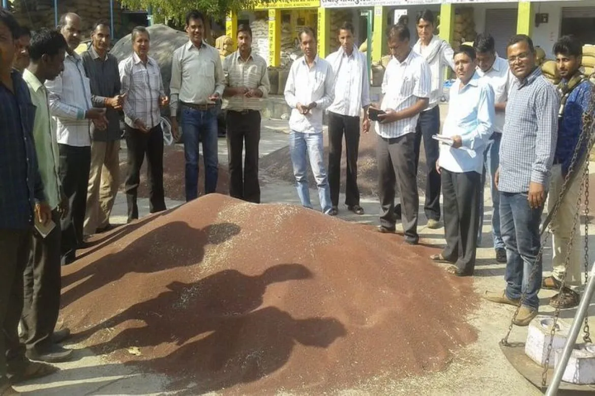 किसानों में गुस्सा , एमएसपी से कम दाम पर बेचनी पड़ रही हैं सरसों  