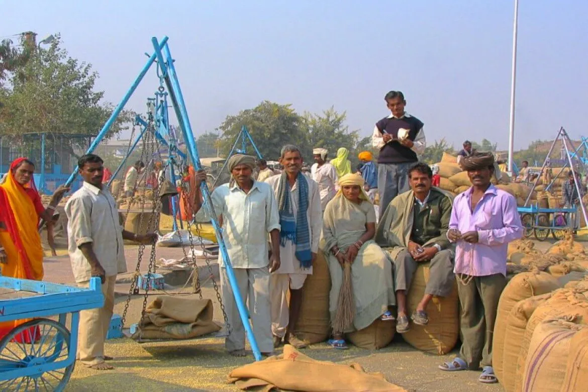 फसल बेचने के 3 माह के बाद भी पेमेंट के लिए भटक रहे हैं राजस्थान के 47 हजार किसान